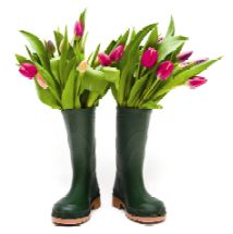 boots and tulips